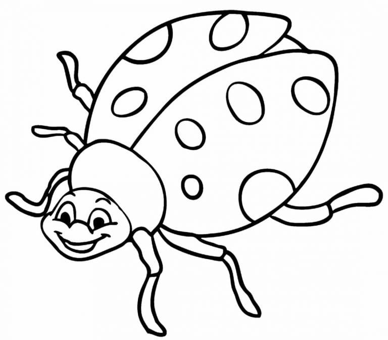 50+ Desenhos para colorir de Insetos - Como fazer em casa