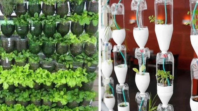 horta com garrafa pet como fazer