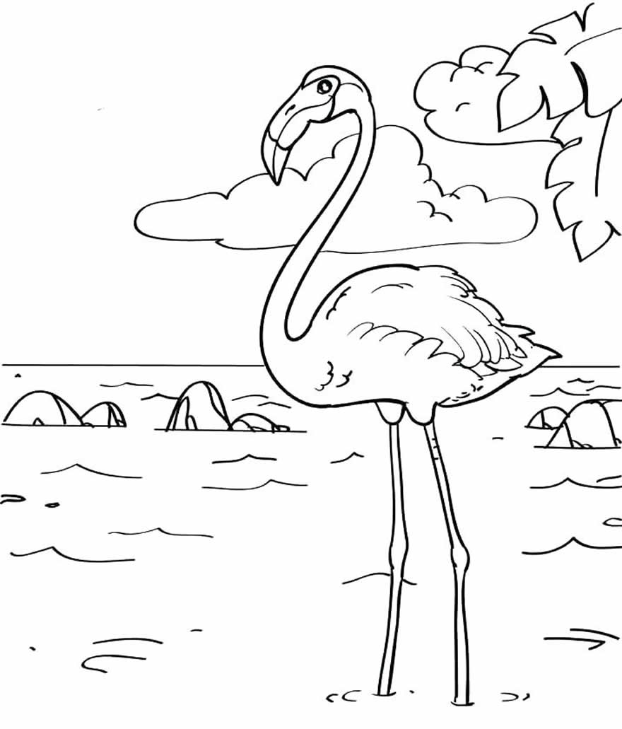 Desenho de Flamingo para pintar