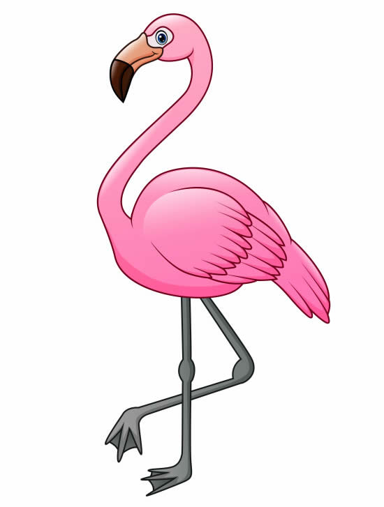 Molde de Flamingo