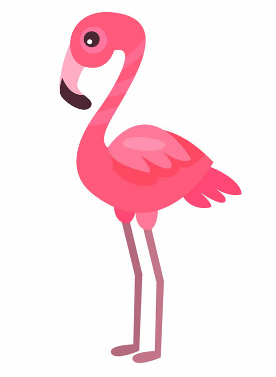 Desenho de Flamingo