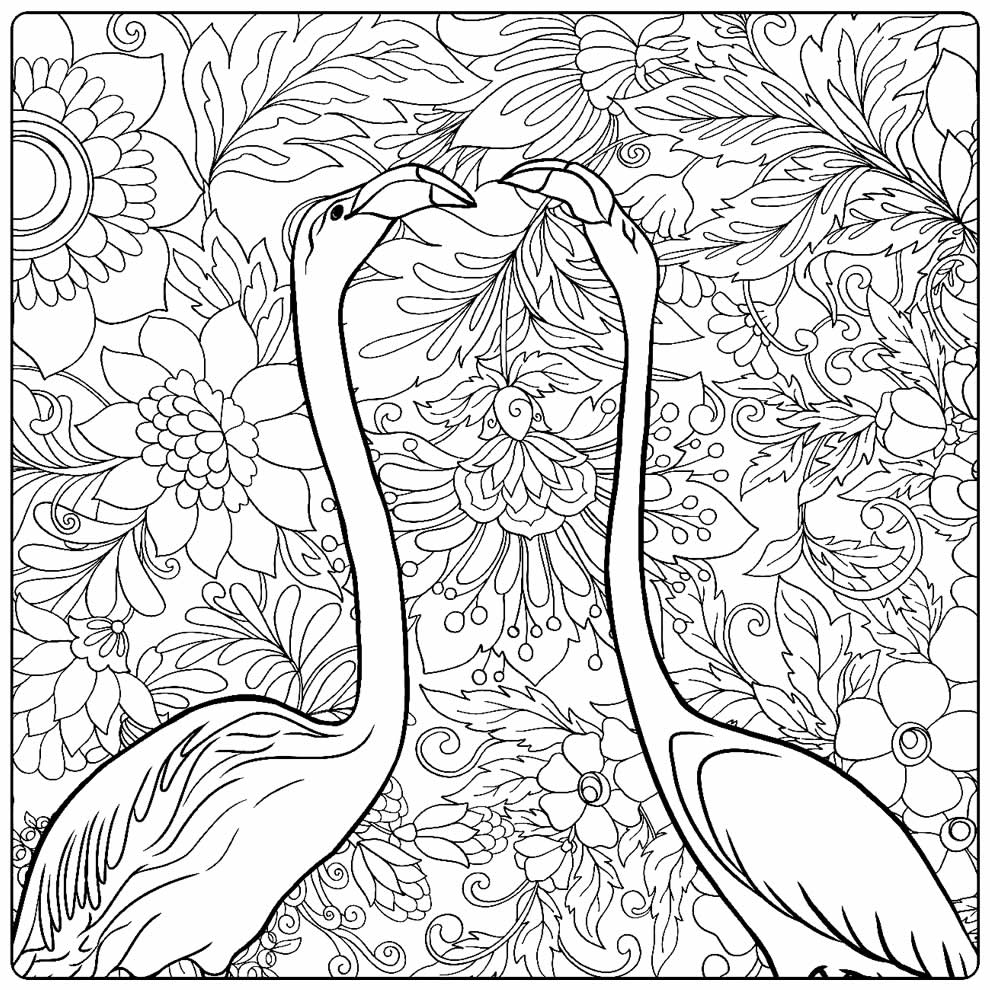Desenho de Flamingos para colorir