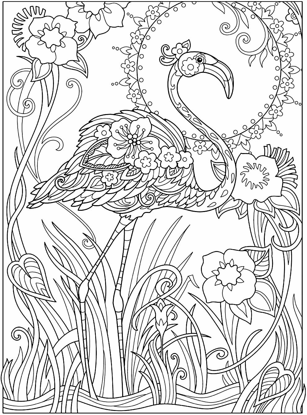 Imagem de Flamingo para imprimir