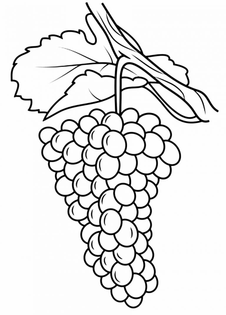 30+ Desenhos para colorir de Uva - Como fazer em casa