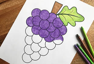 Desenho de uvas para colorir