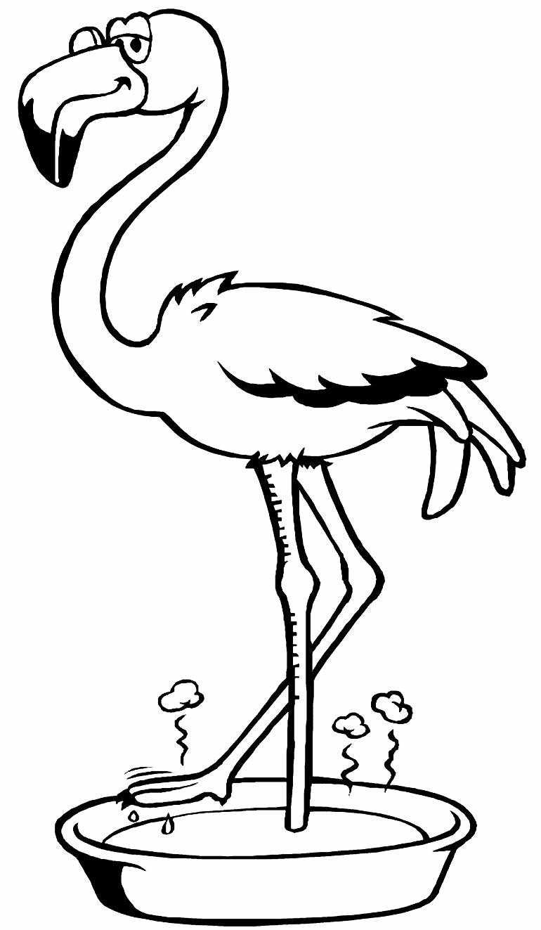 Imagem de Flamingo para colorir