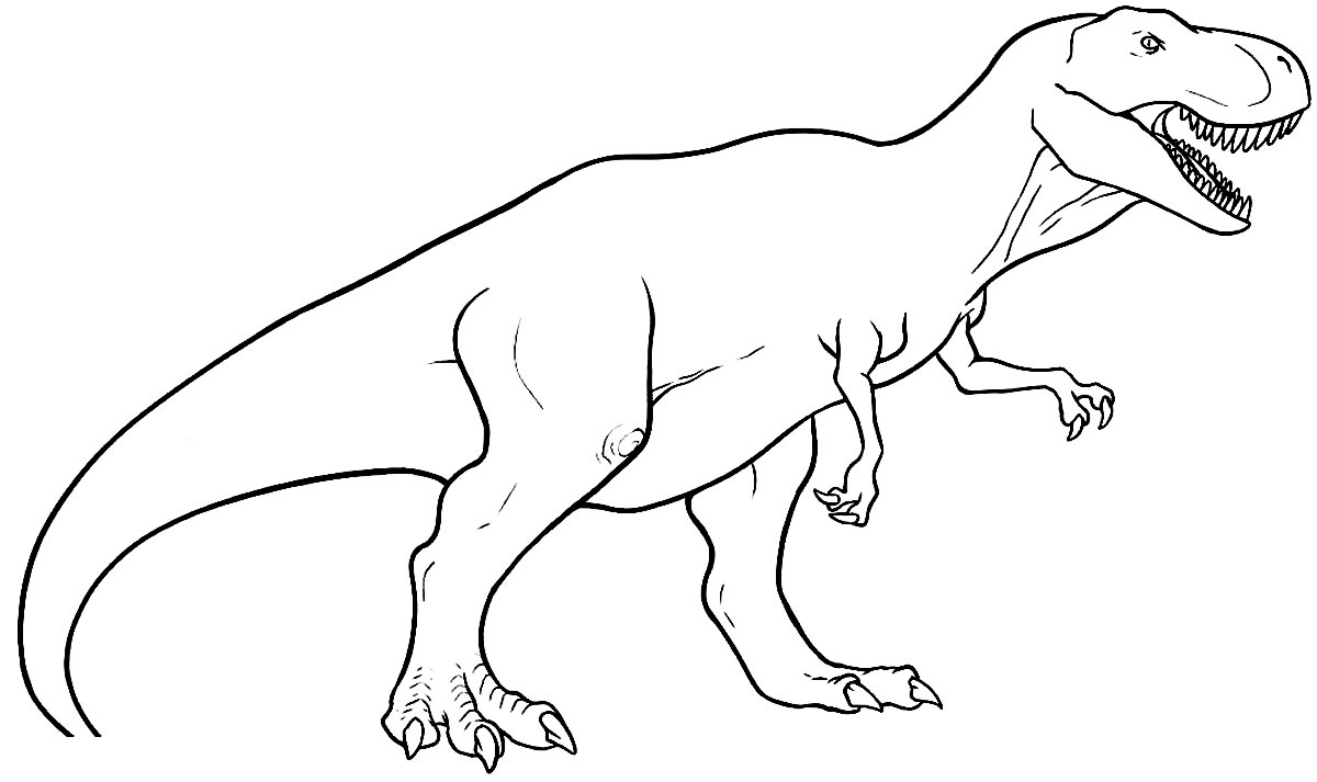 Desenho de T-Rex para pintar