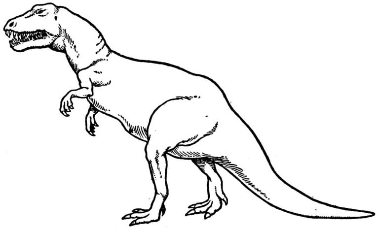 Desenhos De T Rex Para Colorir E Imprimir Como Fazer Em Casa