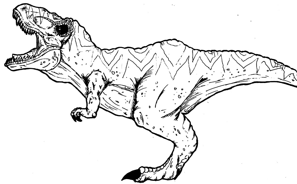 Desenho de dinossauro T-Rex para colorir