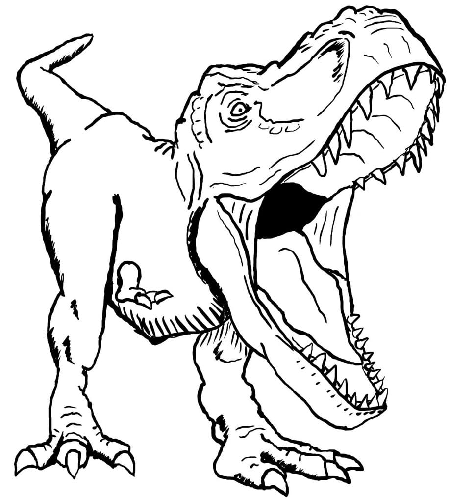 Coloriage Dessin Dinosaure Tyrannosaure Rex Dessin Gratuit Coloriage ...