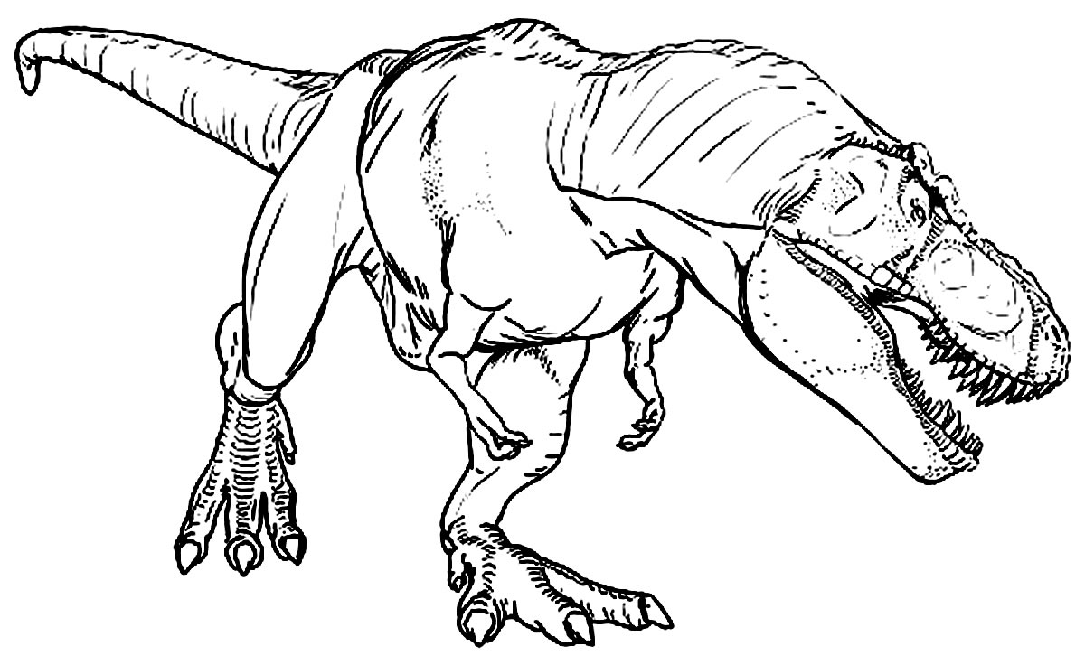 Dinossauro de tiranossauro rex para colorir