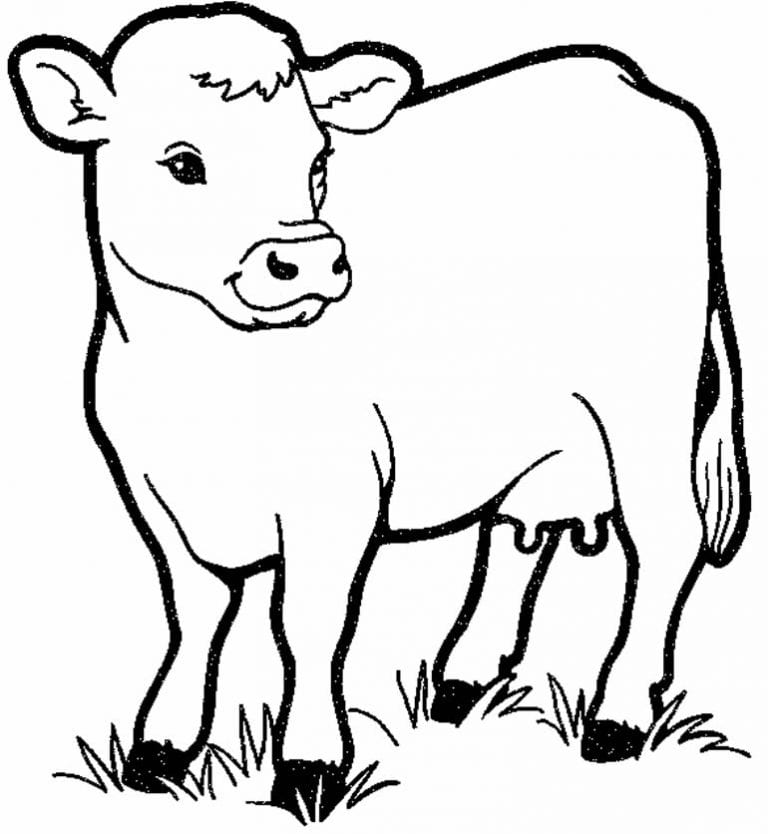 50+ Desenhos para colorir de Vaquinha - Como fazer em casa