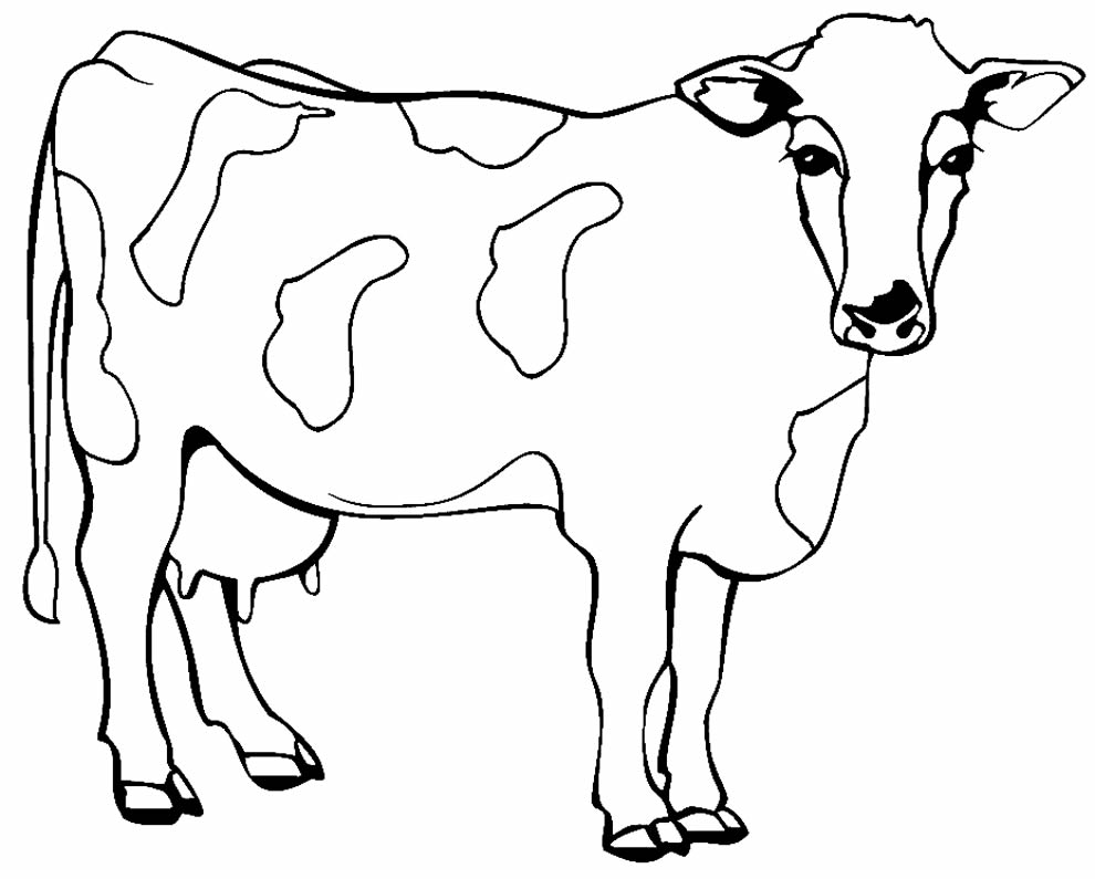 Desenho de Vaca cabeçuda para Colorir - Colorir.com