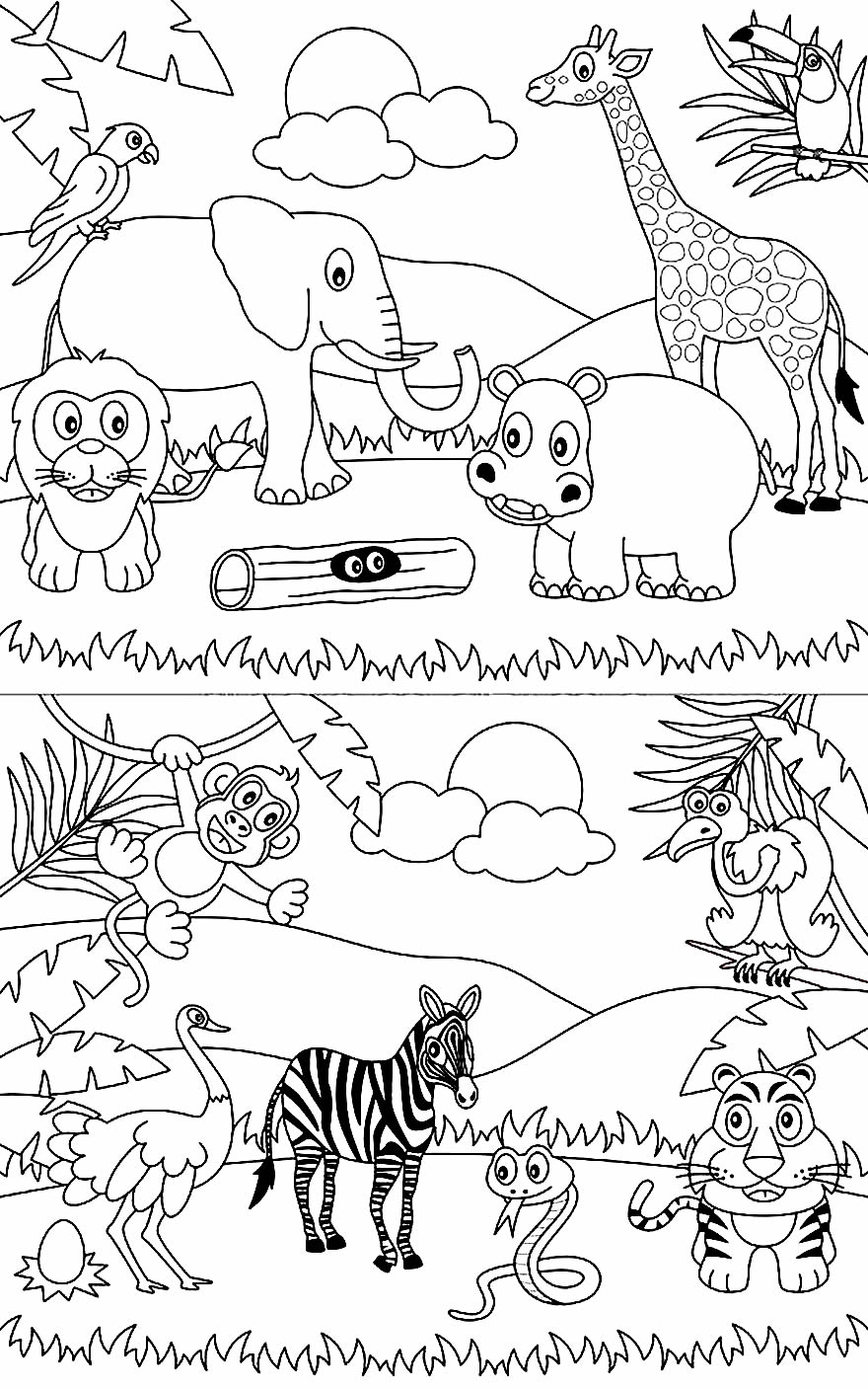 Desenhos para pintar de animais