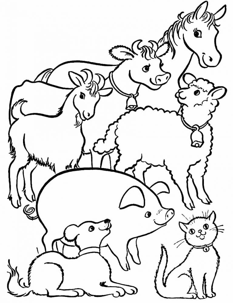 50+ Desenhos de Bichos para colorir - Como fazer em casa