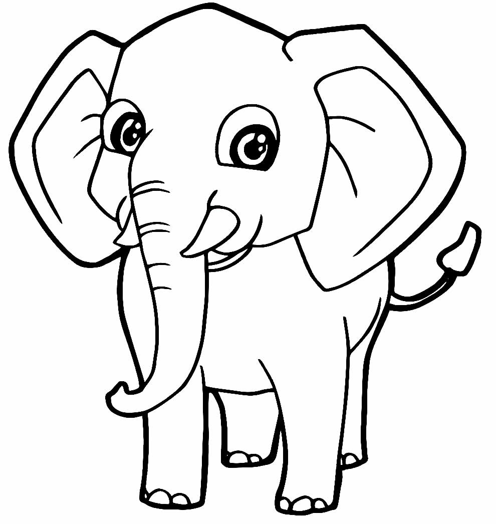 Lindo desenho de Elefante para colorir