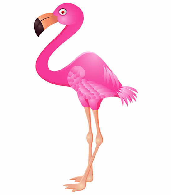 Molde de Flamingo