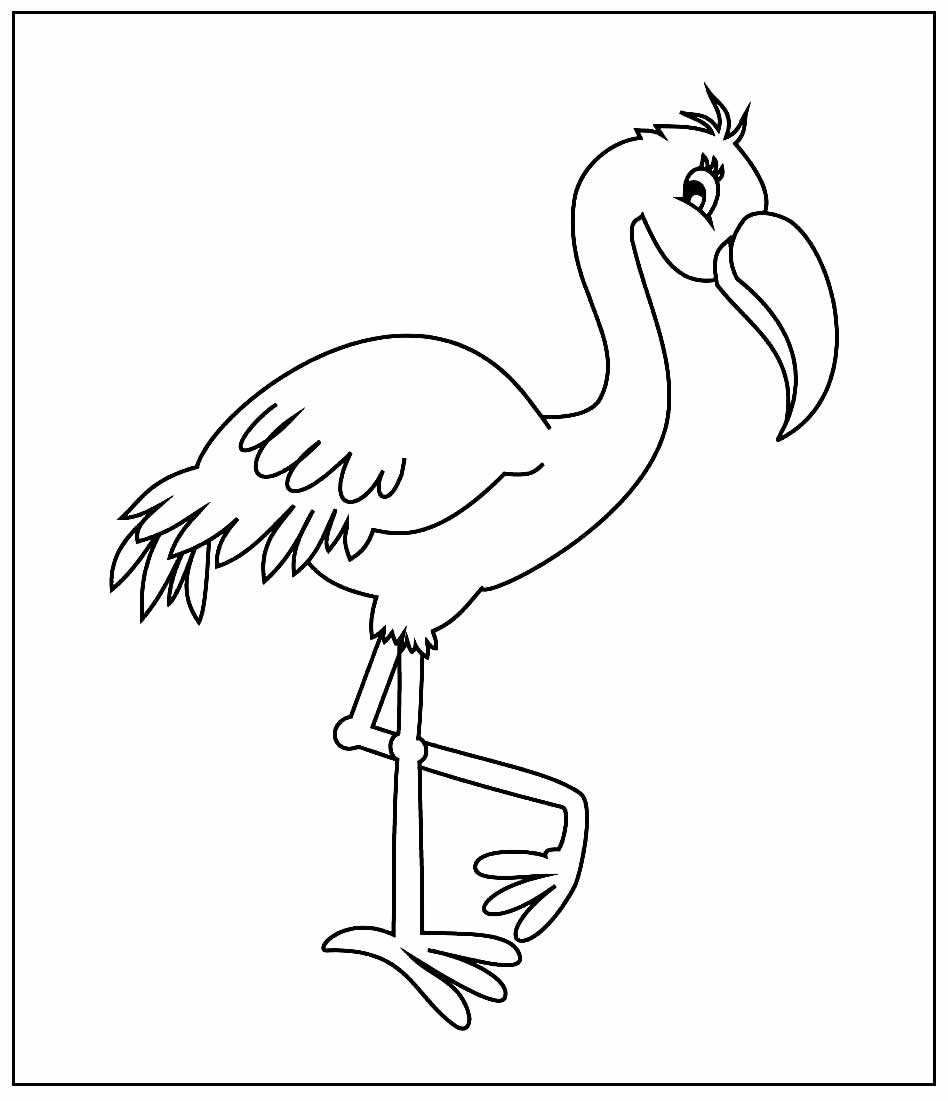 Desenho de Flamingo para pintar e colorir