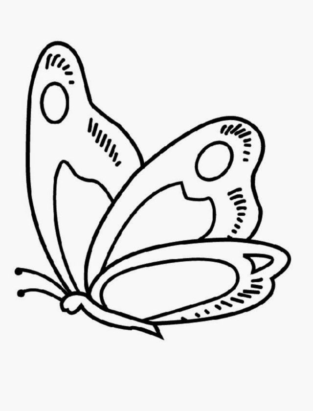 desenhos de borboleta para pintar