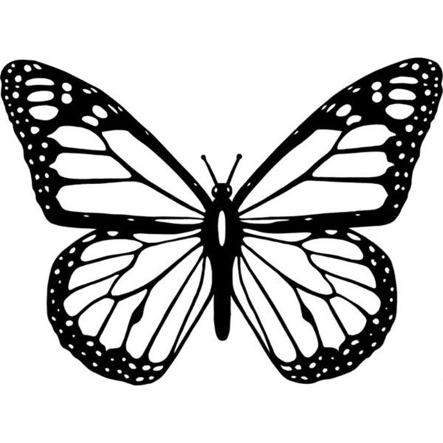 desenhos de borboleta para pintar