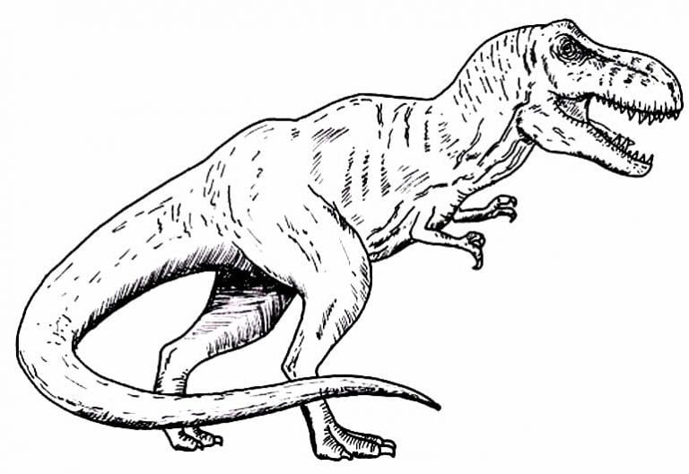 50 Desenhos De T Rex Para Colorir E Imprimir Como Fazer Em Casa