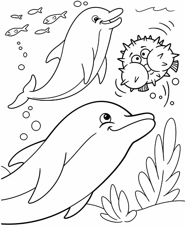 Desenho lindo de Golfinhos