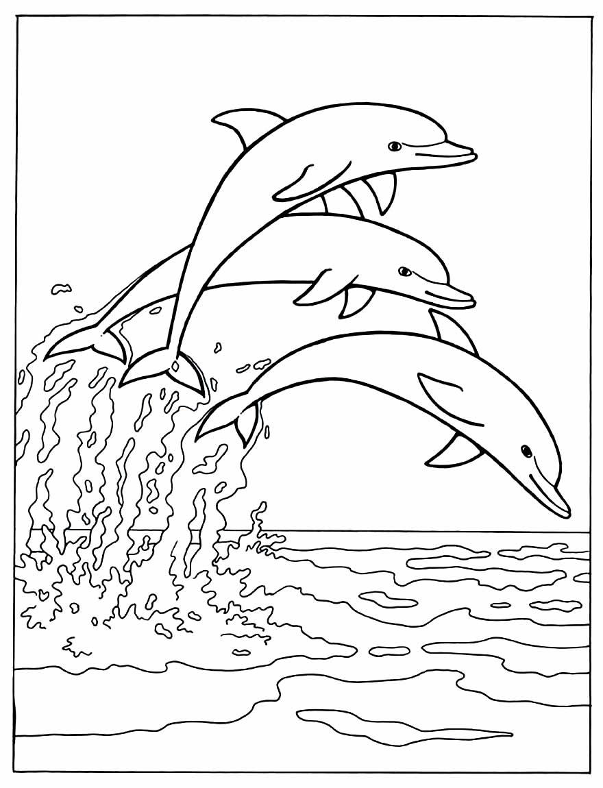 Página para colorir de Golfinho
