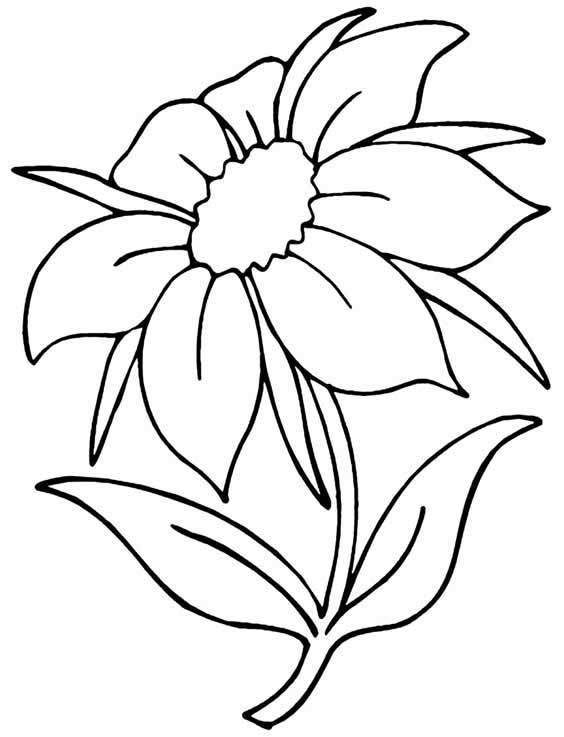 desenho de flor para colorir e imprimir