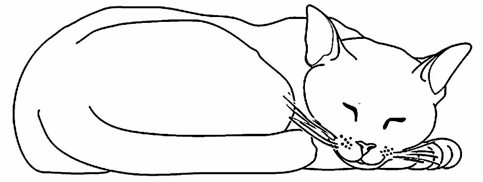 Desenho de gato para colorir