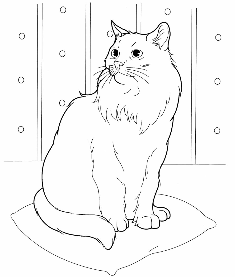 Desenho de gatinho para colorir