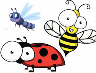 Desenhos para colorir de Insetos