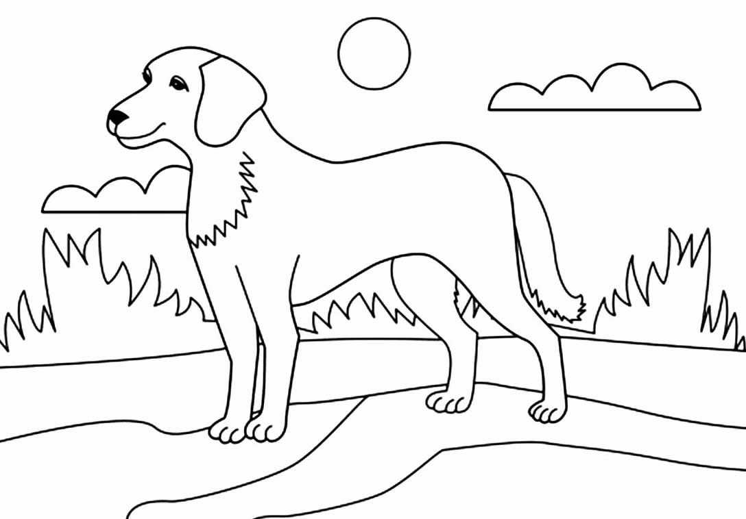 Imagem de cachorrinho para colorir