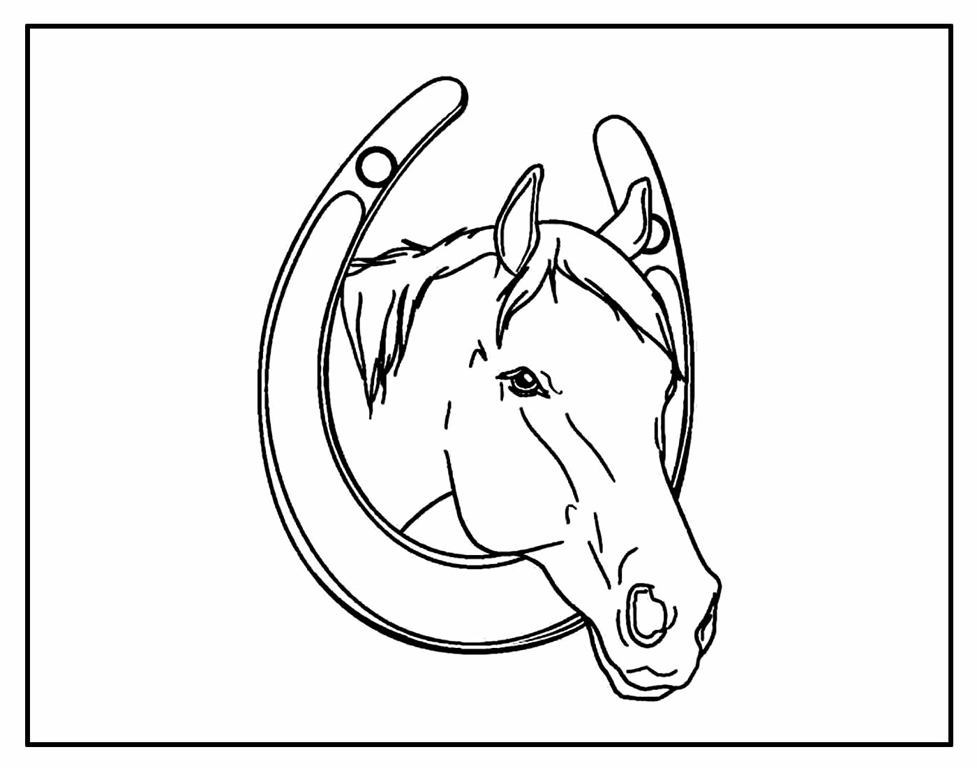 50+ Desenhos para colorir de Cavalos - Como fazer em casa