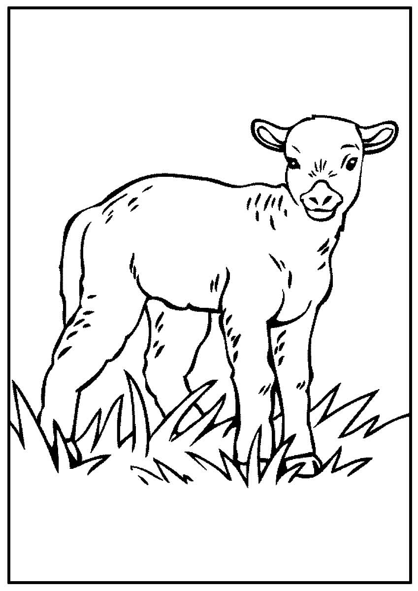 Desenho para colorir de Animais da Fazenda
