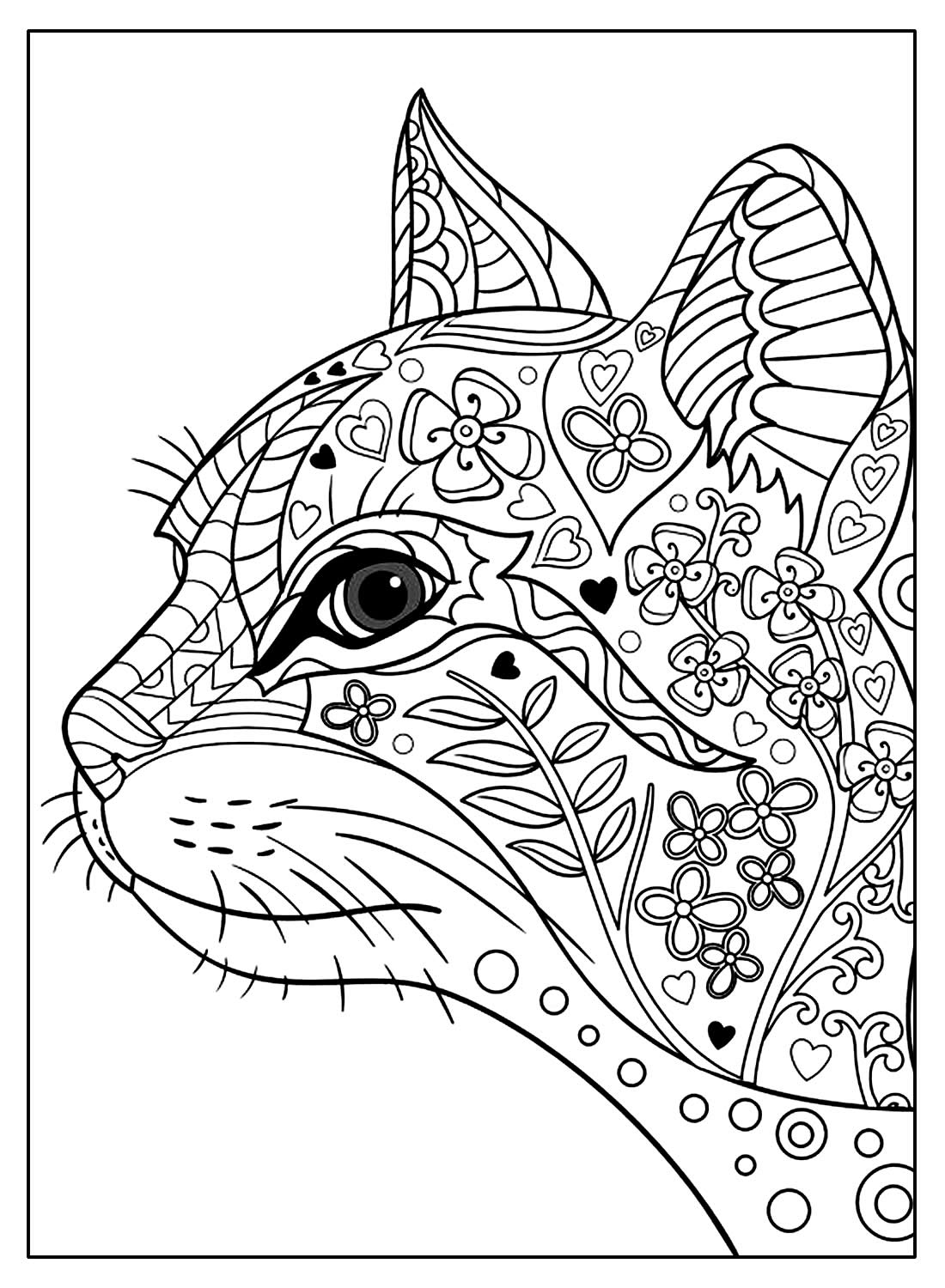 Gato para colorir