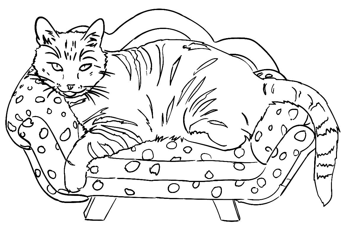 Desenho de Gato com franja para Colorir - Colorir.com