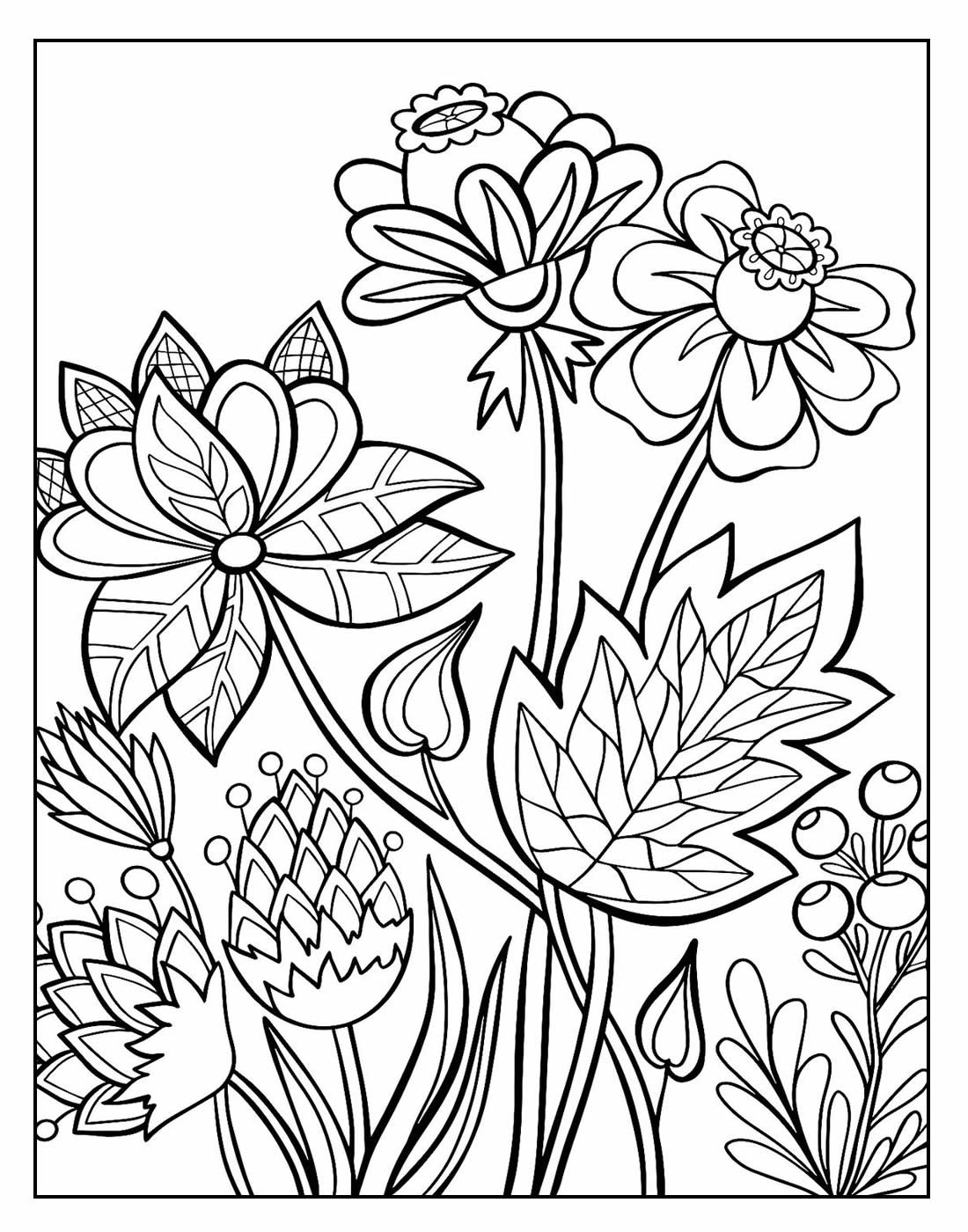 Desenho de Flores para Pintar - Educamais