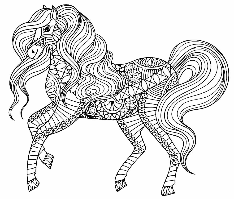 Cavalo para colorir