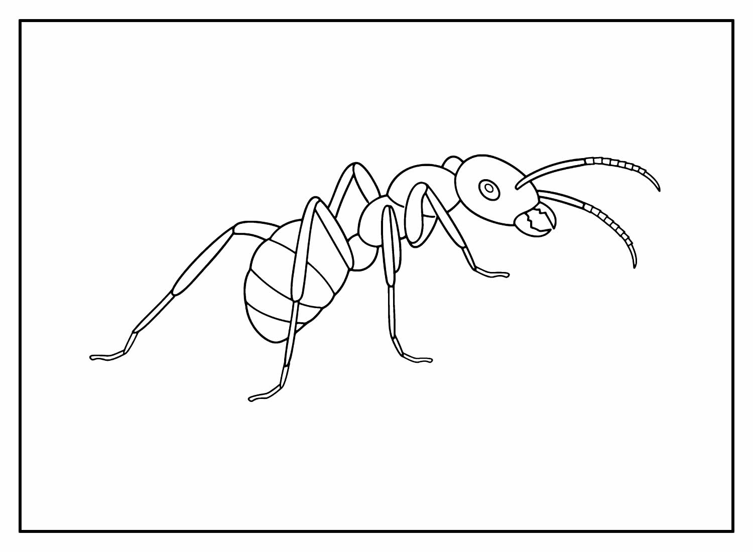 Desenhos de Formiga para pintar