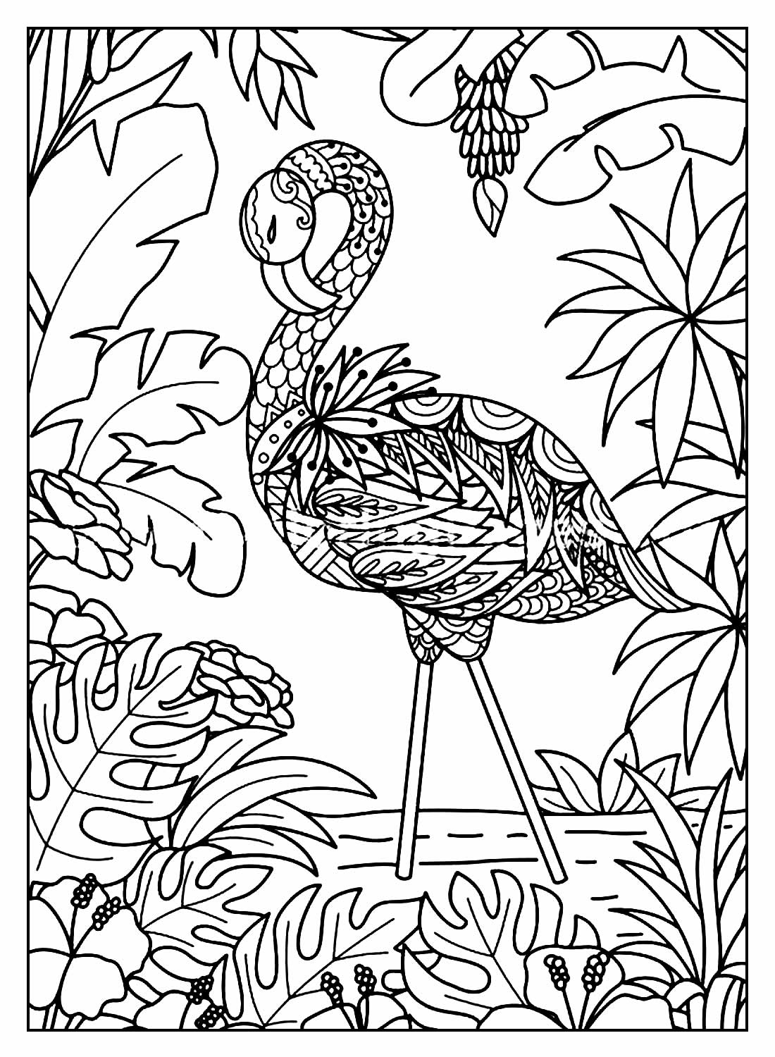 Desenho para colorir Flamingo