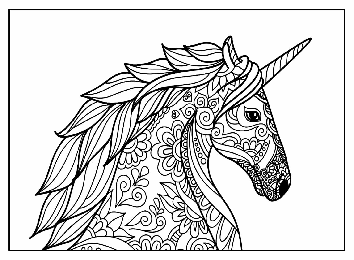 Desenhos Unicórnios para colorir