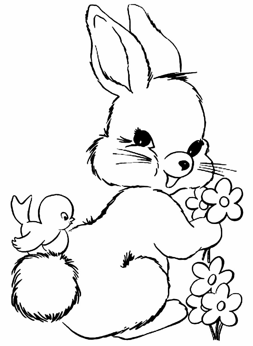 Desenhos de Coelhinho de Páscoa para colorir