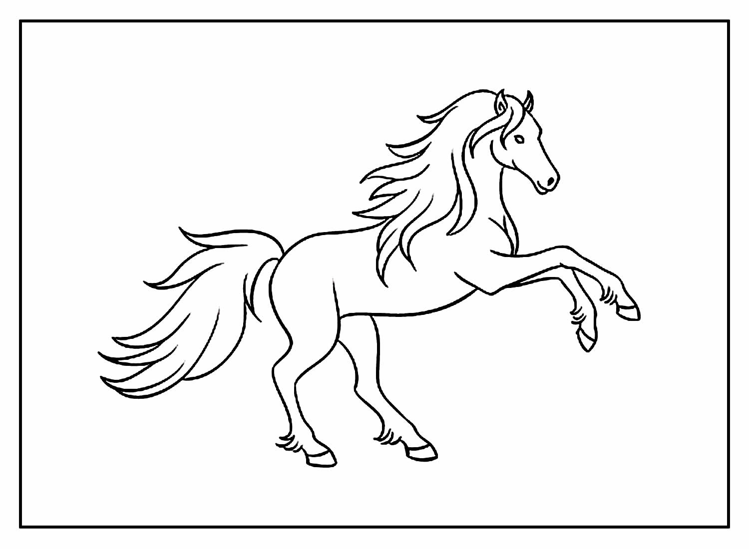 Desenhos Cavalos