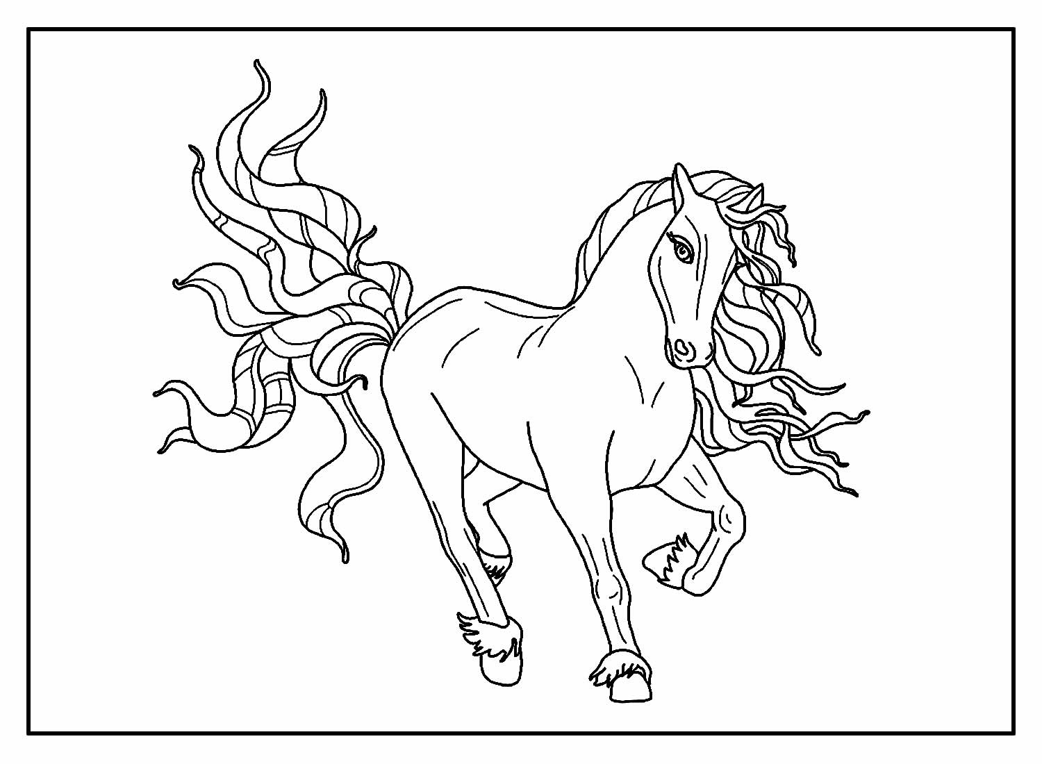 Desenhos Cavalos Colorir