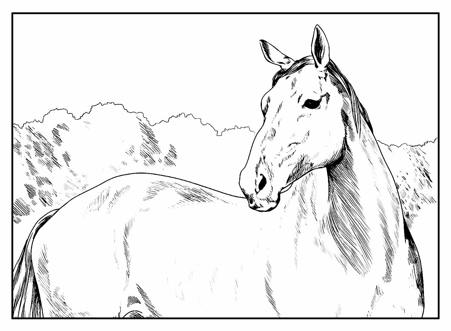 Desenho Realista de Cavalo para colorir