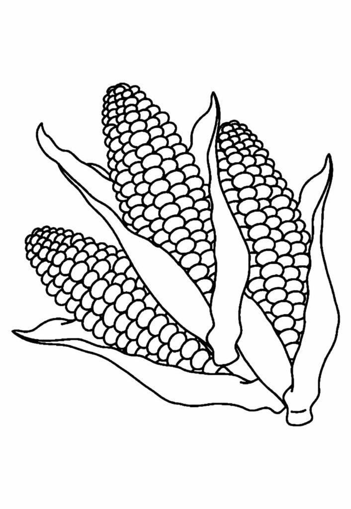 Desenho de Milhos para colorir
