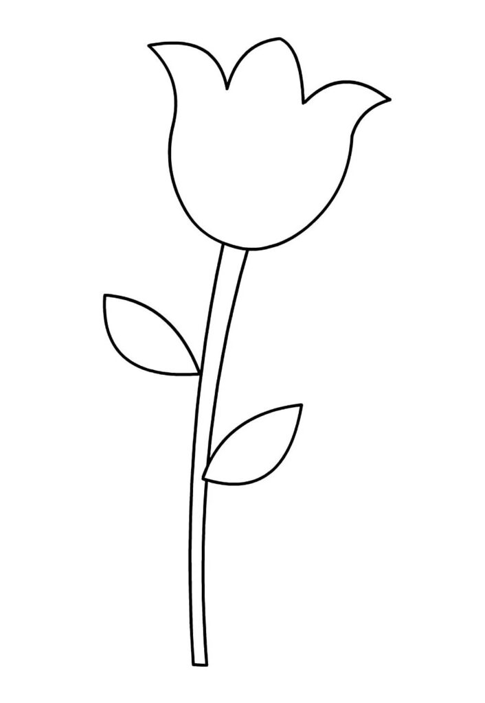 Molde de Flor Tulipa