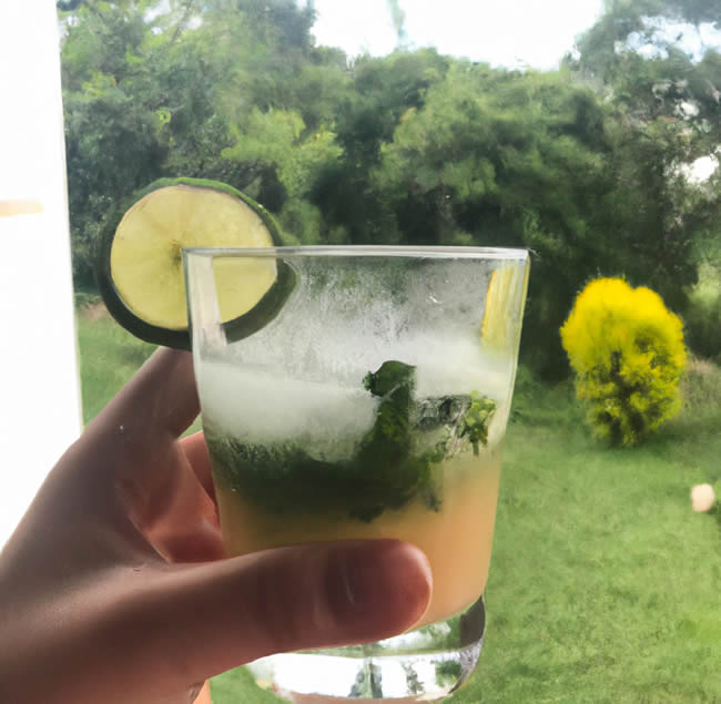 Mojito - Receita do Drink Tropical