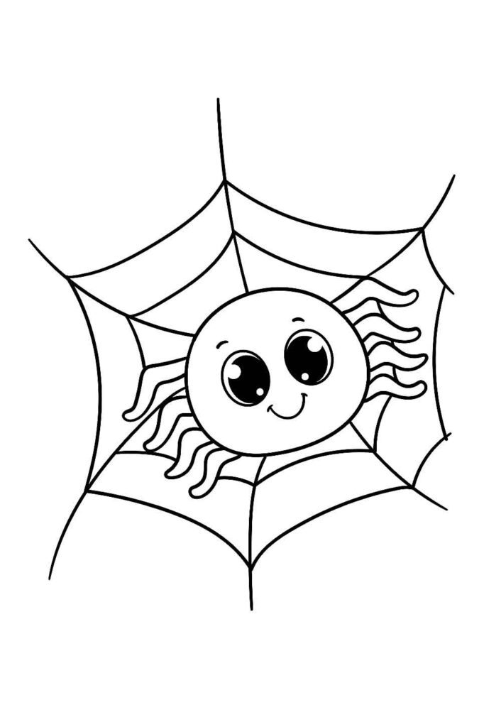 Desenho de Aranha para colorir