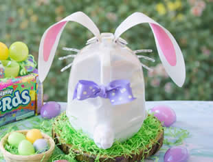 Coelhinho com Reciclagem